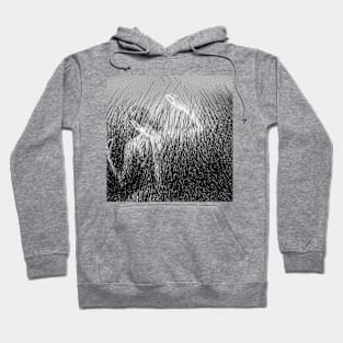 Frolic Hoodie